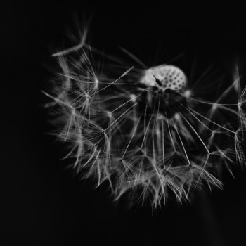 gabriele-diwald-iCVeRi7nUVg-unsplash