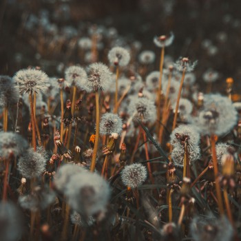 katarzyna-pe-8xUNbtq9BEI-unsplash