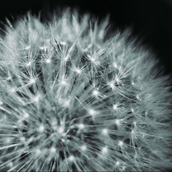 stanislav-kondratiev-D_207bXV7bk-unsplash